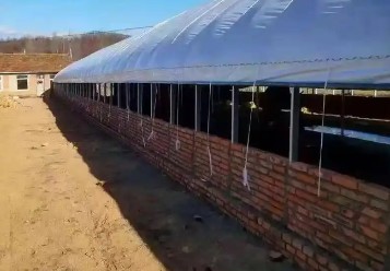 ���ڲ�ͬ��ֳ����������Ҫ�����