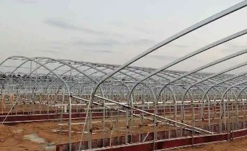 ���ܳ��õ���ֳ���������������