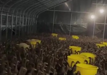 �������Ҵ��ｨ����Ҫ��Щ���ϣ�