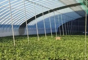 ��Բ�ͬ�߲˴��������˵