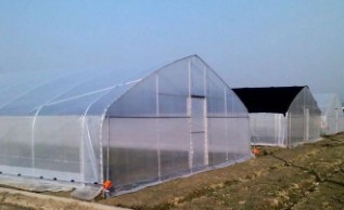 ����������Ʊ�׼����Щ��Ҫ��׼