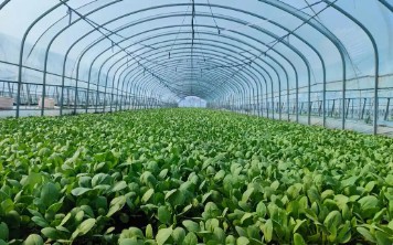 ��ν���һ���õ��߲˴��